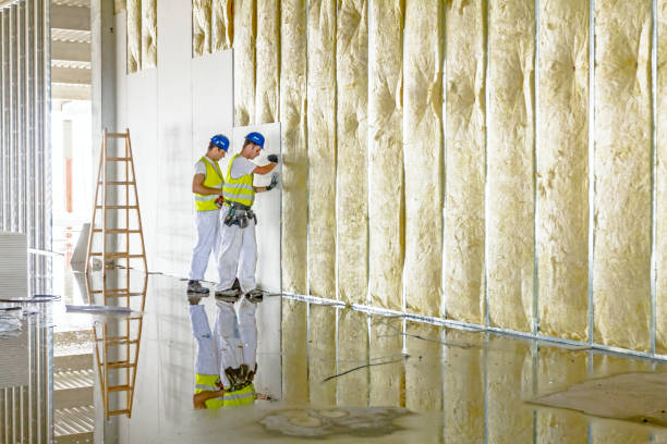 Best Types of Insulation in Lacey, WA